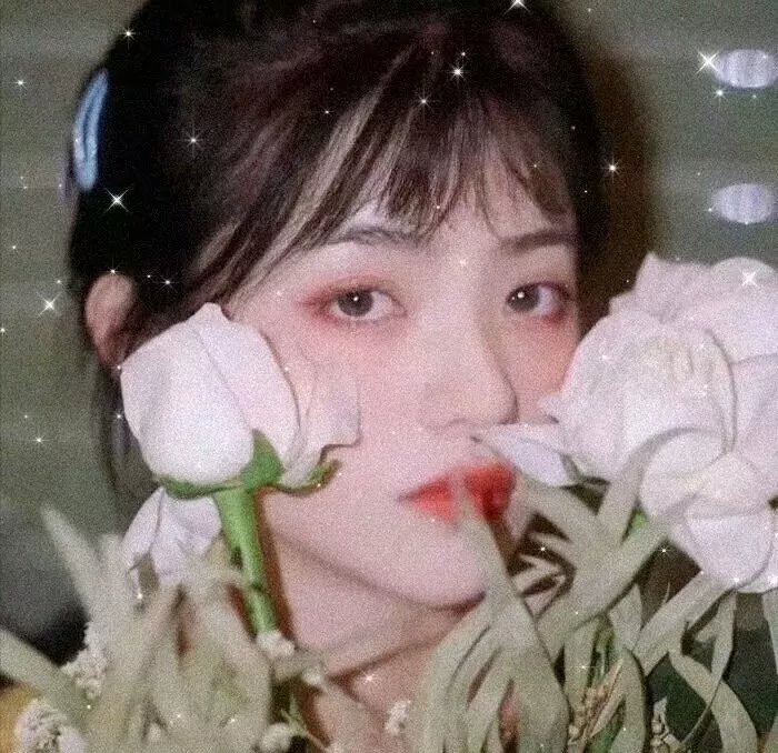 马克辛的归来